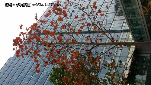 1300万像素镜头 三星W2014样张