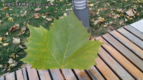 1300万像素镜头 三星W2014样张