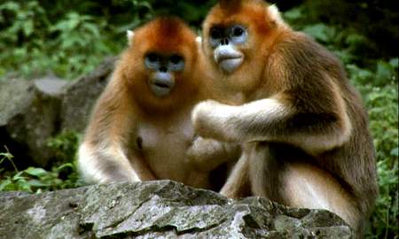 �Ƽ�ʱ��_�������飺�߽�������Ĵ���˿��(��ͼ)