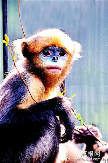 �Ƽ�ʱ��_�����о����ٷ��ֽ�˿�����4������