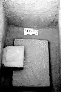 �Ƽ�ʱ��_�����״η��ֽ������ĹȺ