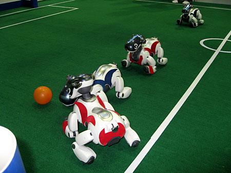 �Ƽ�ʱ��_��ͼ�����ᰮ��������������