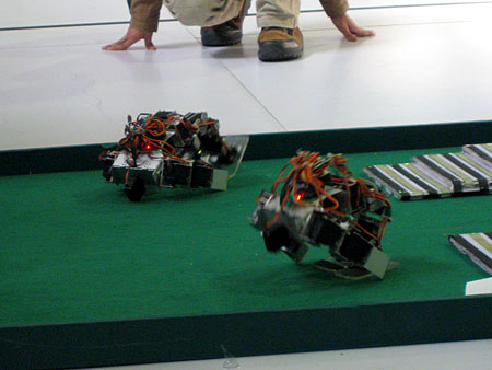 �Ƽ�ʱ��_ͼ�ģ��赸�����������ϱ��ݵ���