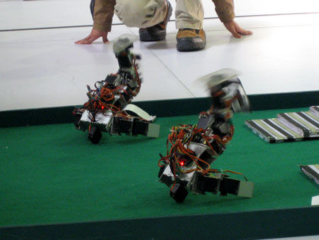 �Ƽ�ʱ��_ͼ�ģ��赸�����������ϱ��ݵ���