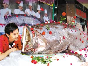 �Ƽ�ʱ��_������ս20Сʱ�ܻ�ʯ���� ��500��ʳ��