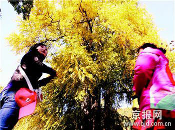 �Ƽ�ʱ��_ǧ�����Ӿ������ƽ�ס�(ͼ)