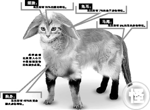 科学家跟据英国人需求设计的完美宠物