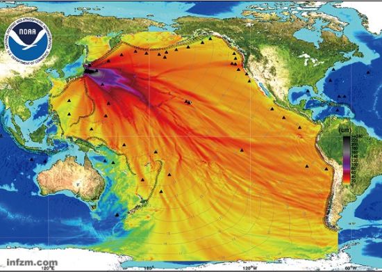 NOAA发布的日本地震海啸图。在地震源附近的地区以及东南部海域是地震能量最集中的区域,这里的海啸浪高最少将超过2.5米,然而海啸以喷气客机的速度横跨整个太平洋,在开放海域的浪高不超过20公分。 (NOAA/图)