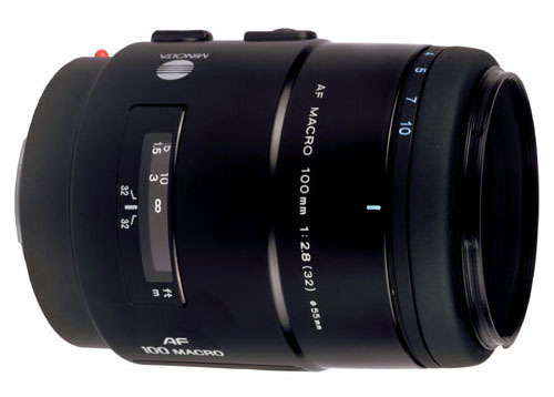 花语 心境索尼100\/2.8微距镜头试用_数码