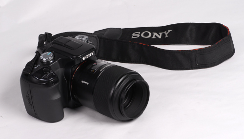 花语 心境索尼100\/2.8微距镜头试用