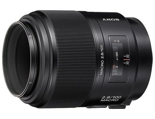 花语 心境索尼100\/2.8微距镜头试用_数码