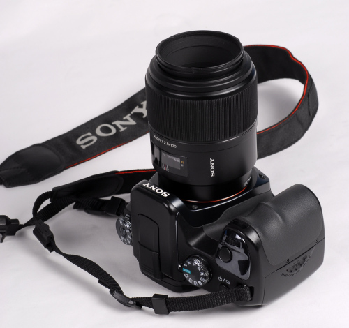 花语 心境索尼100\/2.8微距镜头试用_数码