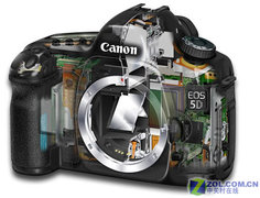 ����5D���Ȧ��ͷ��ǿ�������׻�����
