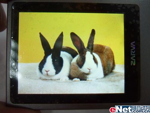 不得不爱 长虹佳华MV206全面到货_数码