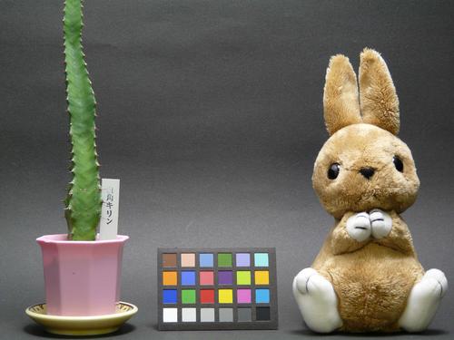 令人震撼的控制力 松下FZ18速写评测_数码