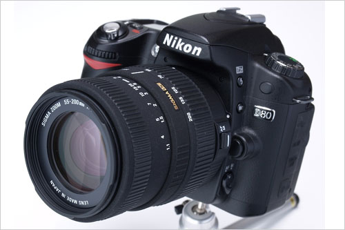 完美组合 适马镜头配尼康D80样张赏析_数码