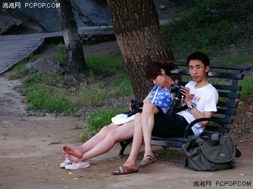 谁出镜多?看圆明园的影友都使啥装备_数码