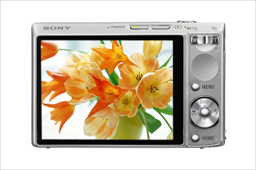 ���������ʱ��У԰��Ƭ�����������(5)