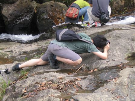 高画质+LCD取景超值单反再疯狂降价