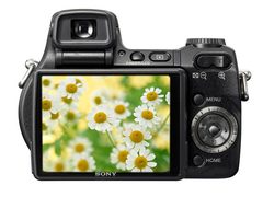 ���ֺ�ʱ������˿�������������뽵