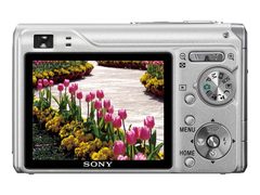 ���ֺ�ʱ������˿�������������뽵