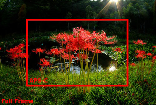 颠覆视觉映像 三星10-17mm鱼眼镜头试用