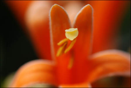 �۸�����ߵ��῵D80�׻����ư�ǧ(5)