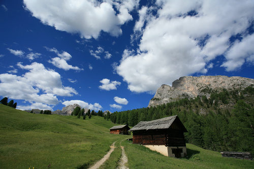 к1000����������5D�ٽ���17399�����῵D3