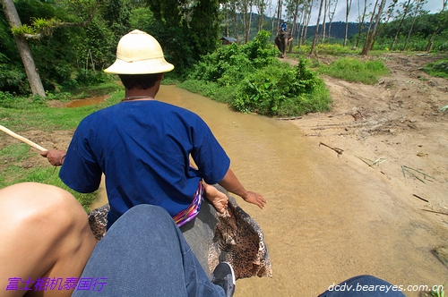 阳光、沙滩和热带鱼 泰国普吉岛游记_数码