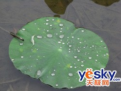 ǧ������ʼ��������ص㲻ͬ�Ĺ������