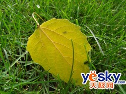ǧ������ʼ��������ص㲻ͬ�Ĺ������