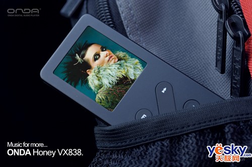 �ں��Ʋ��ɵ�����VX838299Ԫ���ͺ���