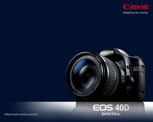 ����07���＾���������Ʒ��ֽ��