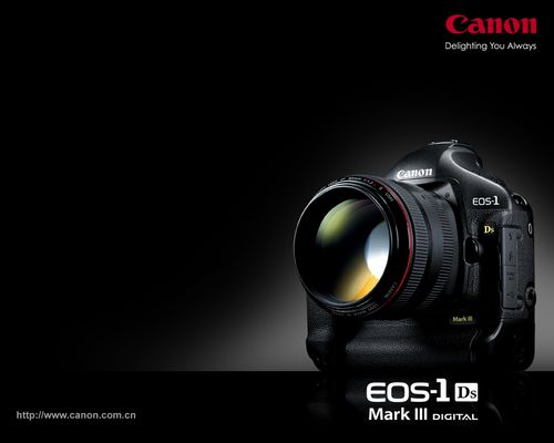 ����07���＾���������Ʒ��ֽ��