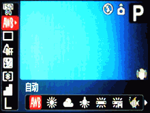 如虎添翼高性价比佳能A720IS深度评测(6)