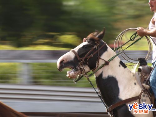 ���ְ�˹ZUIKODIGITALED70-300mmF4-5.6��ͷ