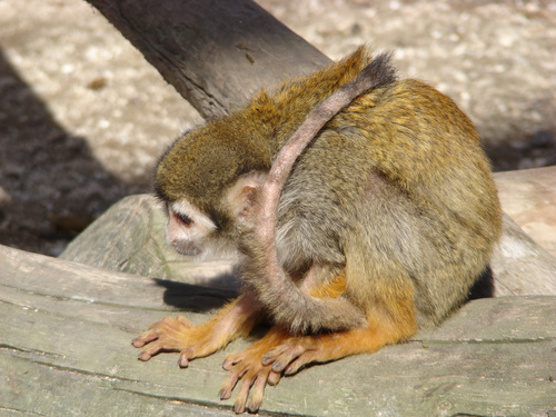 15X����ȫ�ֶ�����H7���ɱ��2K6