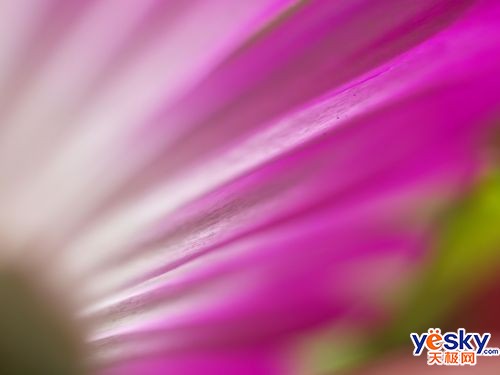 ְ˹ZUIKODIGITAL35mmF3.5Macroͷ