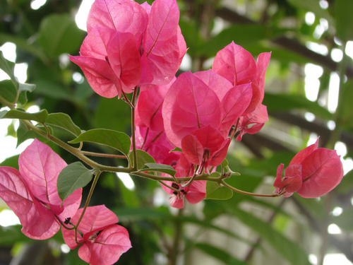 15X����ȫ�ֶ�����H7���ɱ��2K6