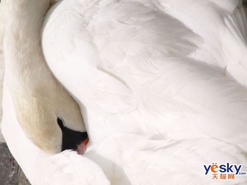 ���ְ�˹ZUIKODIGITALED18-180mmF3.5-6.3��ͷ