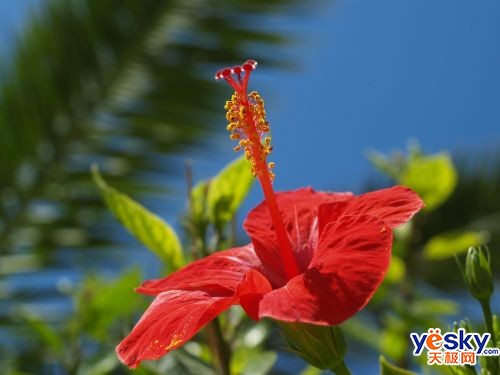 ְ˹ZUIKODIGITAL35mmF3.5Macroͷ