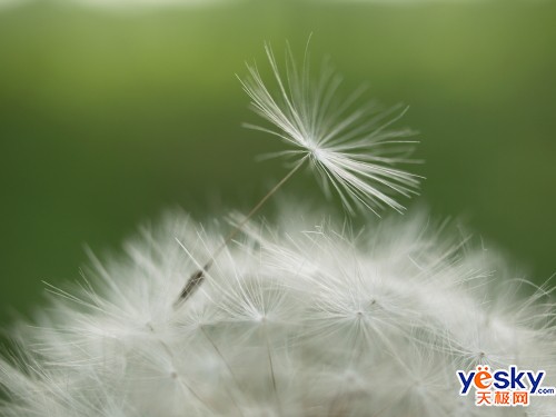 ְ˹ZUIKODIGITAL35mmF3.5Macroͷ