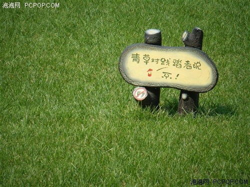 谁将称王?索尼T200\/富士Z100样片PK_数码