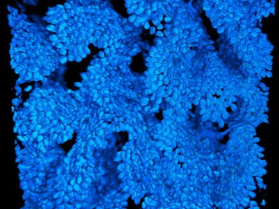 磡῵΢Ӱչ[2006]