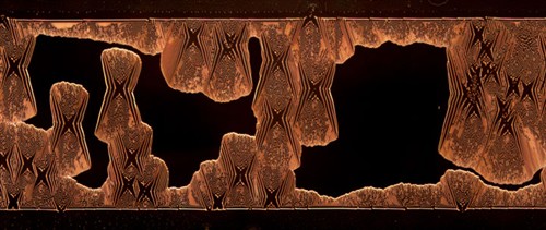磡῵΢Ӱչ[2006]