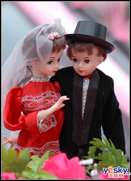 ���ϼ����Ŀ�C/N��������ͷʵ�ı�ƴ