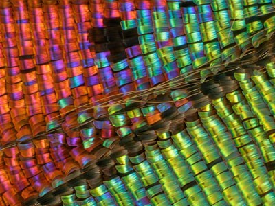 磡῵΢Ӱչ[2006]
