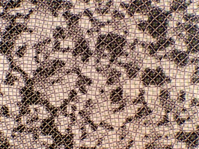 磡῵΢Ӱչ[2006]