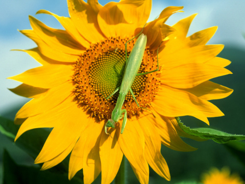 DVӰƬ�����л�6���򾫲ʳ���