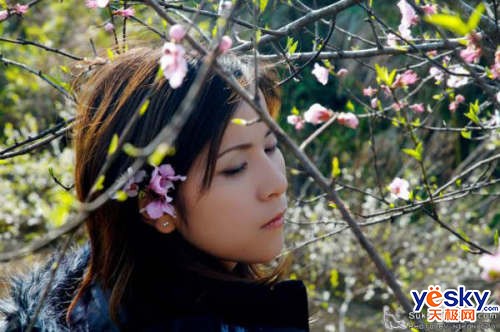 ���ϼ����Ŀ�C/N��������ͷʵ�ı�ƴ